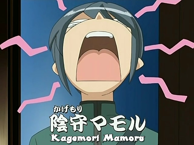 Kage kara Mamoru ! (Jisedai no Fansub)